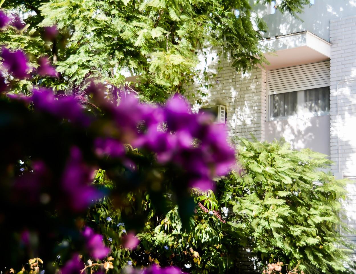 Hotel Nutibara Mendoza Dış mekan fotoğraf